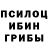 Псилоцибиновые грибы GOLDEN TEACHER Constantin Nitu