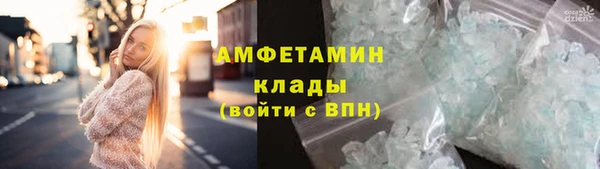 прущие грибы Алексеевка